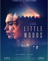 Küçük Orman – Little Woods 2018 izle